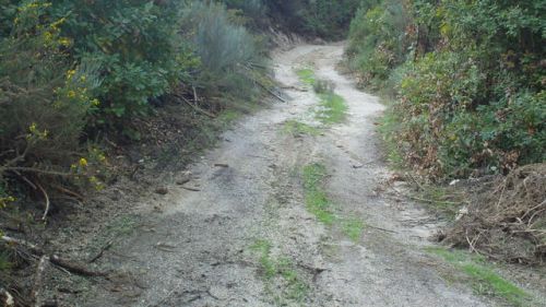 Caminho Agrícola da Ribeira